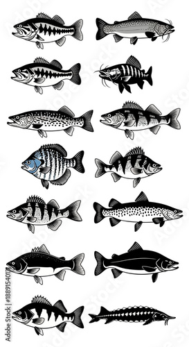 Black Silhouette Vector Set of Wine Bottles, Decanters, and Glasses