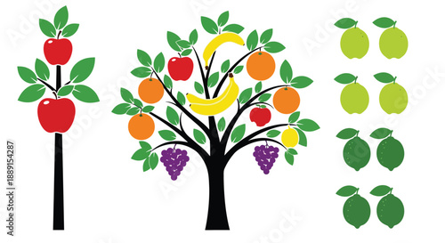 Stylized fruit trees displaying apples bananas oranges grapes and lemons