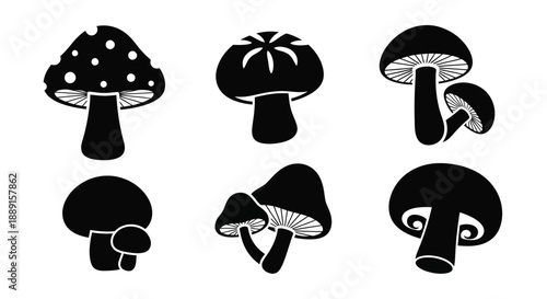 Black and white illustration of various mushroom shapes and forms