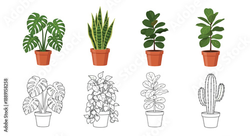 A collection of potted houseplants including monstera snake plant and fiddle leaf fig
