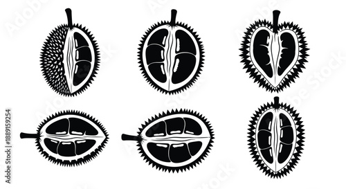 Six durian illustrations whole halved and cross section views in black