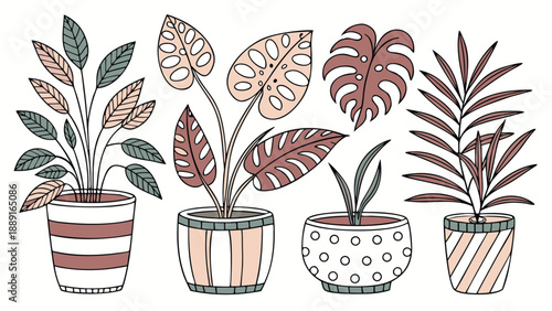 Botanical illustration featuring potted plants with tropical leaves in a simple silhouette high quality professional detailed