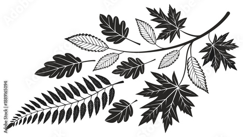 A delicate branch with varied leaves presented in a striking black silhouette high quality professional detailed