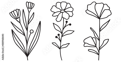 Collection of three minimalist hand drawn black outline botanical flower stem illustrations perfect for simple elegant artistic designs