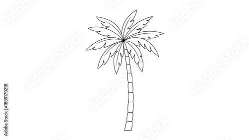 Tall and slender palm tree illustrated in black and white line art, featuring a segmented trunk and large fronds on a clean white background.