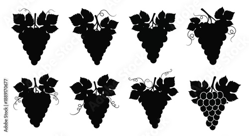 Black and white illustration of various grape cluster shapes and leaves