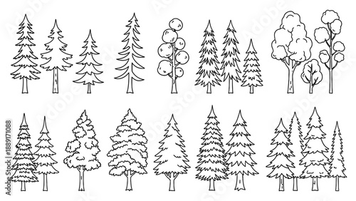 Set of Evergreen Trees in Various Shapes and Sizes, Such as Pine, Fir, Spruce, Conifer Vector Illustration Isolated on Transparent Background.