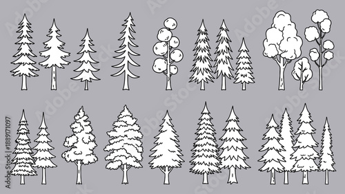 Set of Evergreen Trees in Various Shapes and Sizes, Such as Pine, Fir, Spruce Conifer Vector Illustration Isolated on Gray Background.