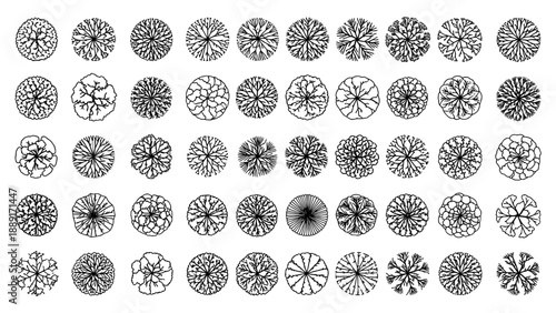 Collection of tree plan views for landscaping and architecture drawing, top elevation for section in site plan drawing, vector file.