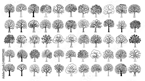 Collection of bare tree silhouettes with different shapes and forms isolated on a transparent background for autumn design vector.