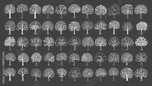 Collection of deciduous tree silhouettes on a dark gray backdrop for design materials about nature and organic life vector illustration. 