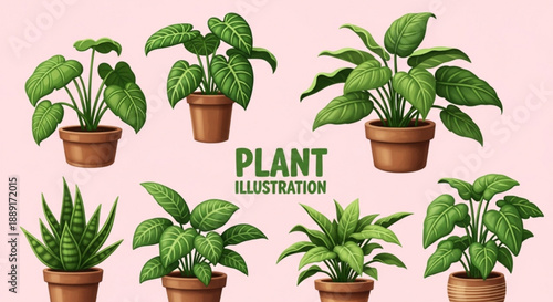 Comprehensive Set of Indoor Potted Plants for Architectural Visualization