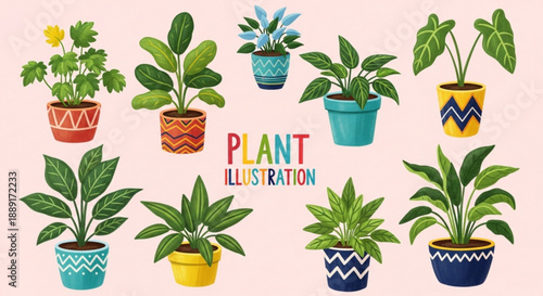 Indoor Plant Set with Succulents and Cacti in Modern Ceramic Pots