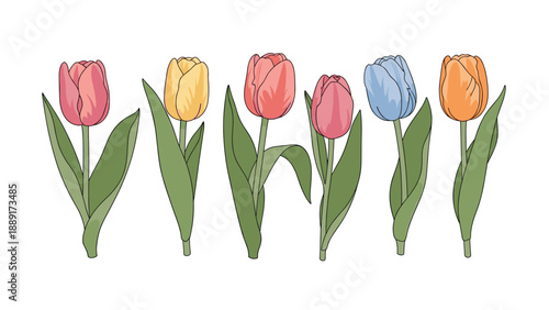 Row of beautiful spring tulips in vibrant pink, yellow, blue, and orange colors with long green leaves.