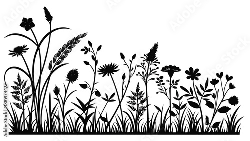 A detailed black silhouette of wildflowers and grasses creates a natural botanical scene silhouette high quality
