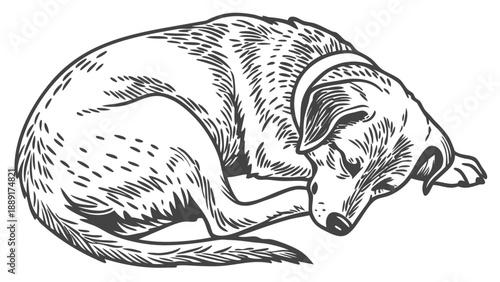 A peacefully sleeping dog is depicted in a detailed sketched illustration silhouette high quality professional modern