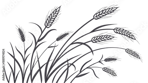 Elegant wheat stalks and blades of grass depicted in a striking black silhouette high quality professional