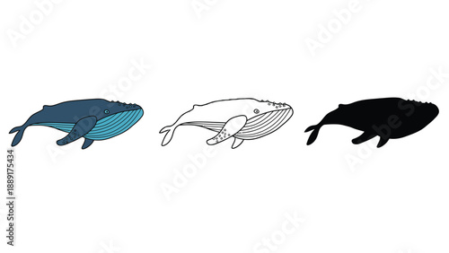 Three whales in different colors on a white background