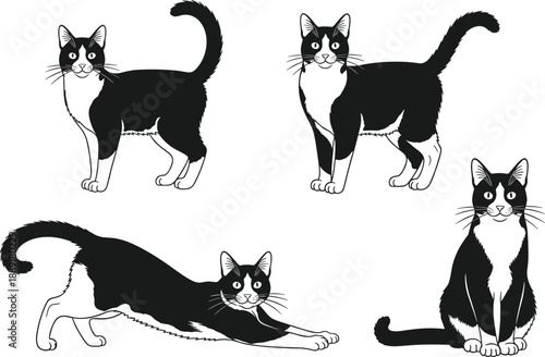 Black and white cat illustration set showing different poses, cute domestic animal character collection, pet behavior design, hand drawn vector art