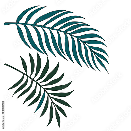 Green tropical leaves vector. Exotic leaf illustration. Green palm leaf on isolated background, summer floral design. Botanical painting drawing tropical design.