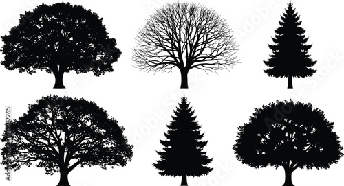Tree silhouette illustration set with deciduous and pine shapes, nature forest elements, black white botanical design collection vector art