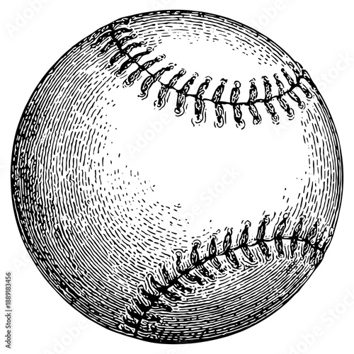 Baseball Vector Black and White