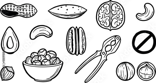 Black and white line art of various nuts and seeds including pistachio walnut almond with nutcracker illustration