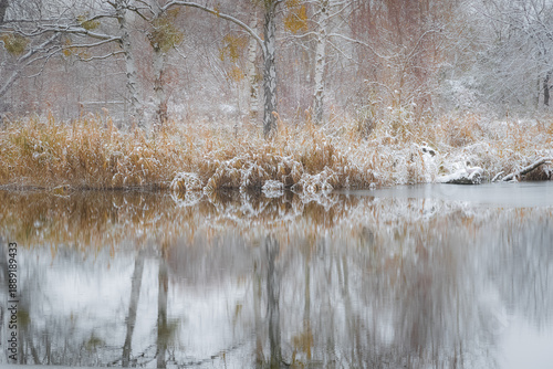 Winter landscape with trees mirroring in the water.