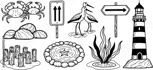 Hand drawn black and white nautical illustrations featuring lighthouse, crabs, penguin, seaweed, rocks, and directional signs in sketch style