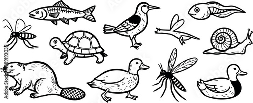 Black ink vintage style animal sketches including beaver turtle duck bird insect snail fish illustrations in line art