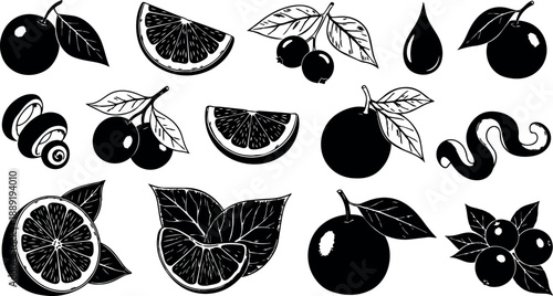 Black and white silhouette illustrations of various fruit slices cherries and leaves with mushroom and worm outline