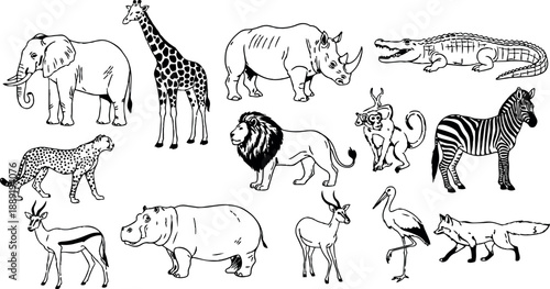 Black and white line art of wild african animals including elephant giraffe lion zebra and crocodile in simple style