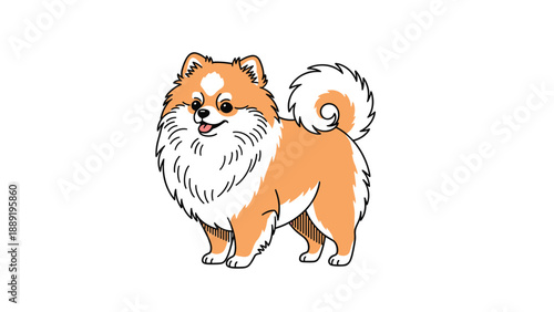 Fluffy orange and white Pomeranian dog is illustrated standing sideways in a cute and detailed hand-drawn style on a plain white background.