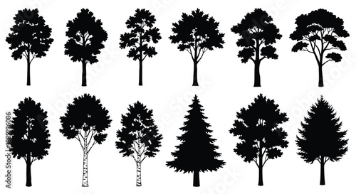Collection of diverse black silhouette trees arranged in a grid pattern