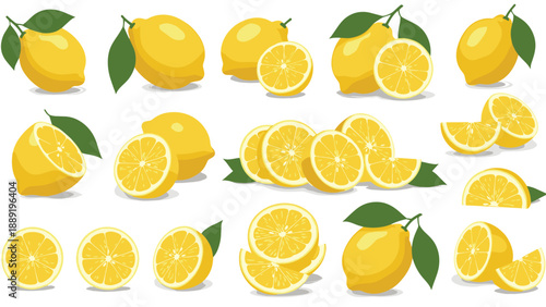 Comprehensive collection of whole lemons, half slices, and wedges with green leaves arranged for food packaging or kitchen decor designs.