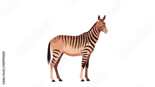 Realistic illustration of a quagga or zebra subspecies showing brown and white stripes on its body against a plain background.