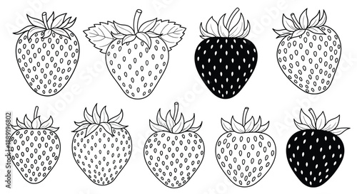A collection of hand drawn strawberry illustrations in black and white