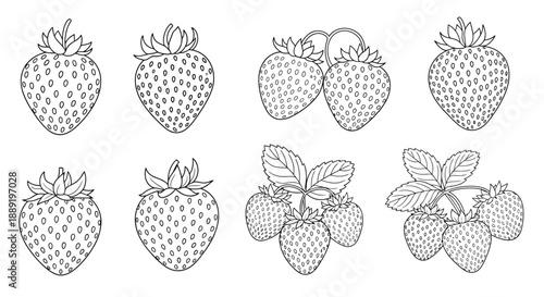A collection of hand drawn strawberry illustrations in grayscale