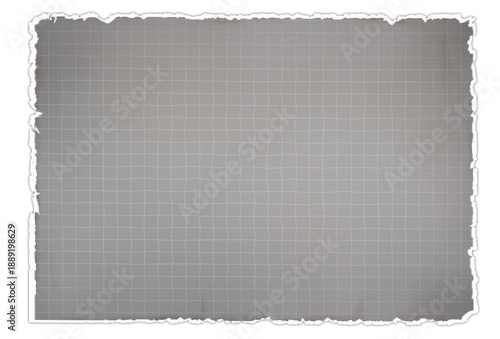 Mocca coffe color mat graph notebook sheet with torn ends Torn paper sheet with space for text.School education note page template. 