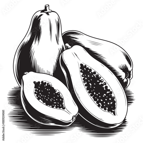 Group of three papaya fruits depicted in engraved style with two halves showing interior seeds and one whole fruit resting together