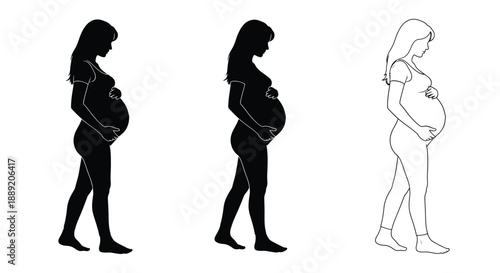 Silhouettes depicting stages of pregnancy first second and third trimester