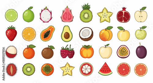 Collection of various fruit illustrations displayed in a grid pattern, showcasing diverse shapes and colors