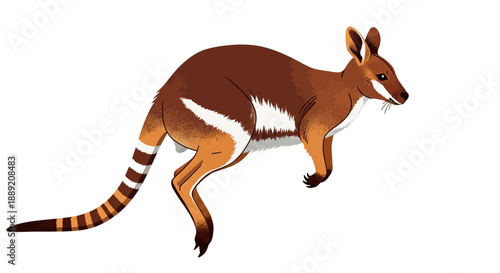 Illustration of a kangaroo in motion, showcasing its distinctive brown and white fur, long tail, and powerful hind legs in a dynamic outdoor environment from a side viewpoint.