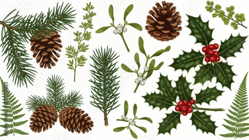Collection of pinecones, holly, and mistletoe arranged in a festive holiday display on a white background viewed from directly above