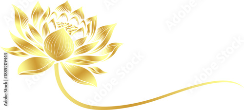 Vector silhouette illustration of a golden lotus