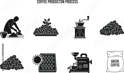 Coffee production process icons set, coffee beans, roasting, grinding, drying, green coffee bag, brewing machine vector illustration collection