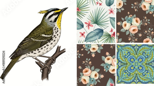 Bird perched on branch surrounded by floral patterns and designs in various textures and colors from moli collection