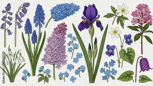 A digital illustration of various flowers including hyacinths, irises, and violets, depicted from a front viewpoint in a garden environment