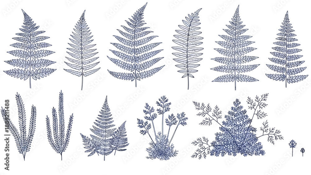 Obraz premium Collection of various leaves and plants in blue illustration, natural elements, foliage, botanical art, decorative design