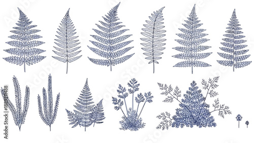 Collection of various leaves and plants in blue illustration, natural elements, foliage, botanical art, decorative design
